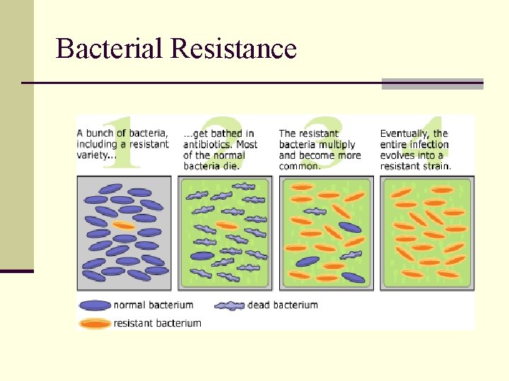 Bacterial Resistance 