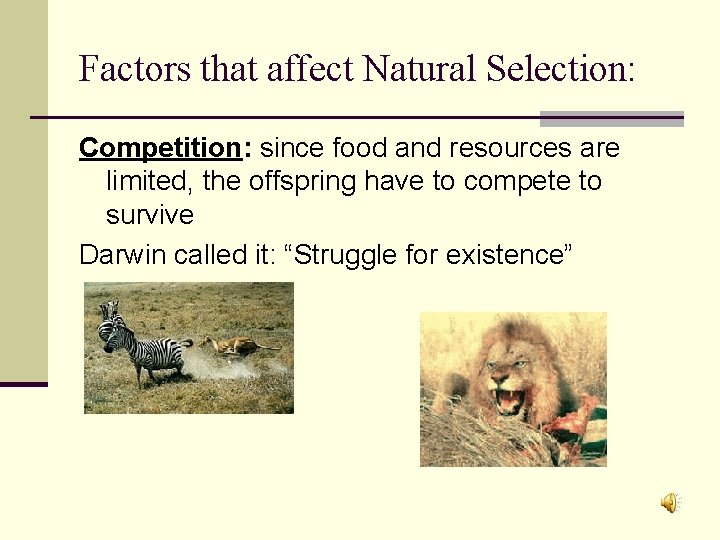 Factors that affect Natural Selection: Competition: since food and resources are limited, the offspring