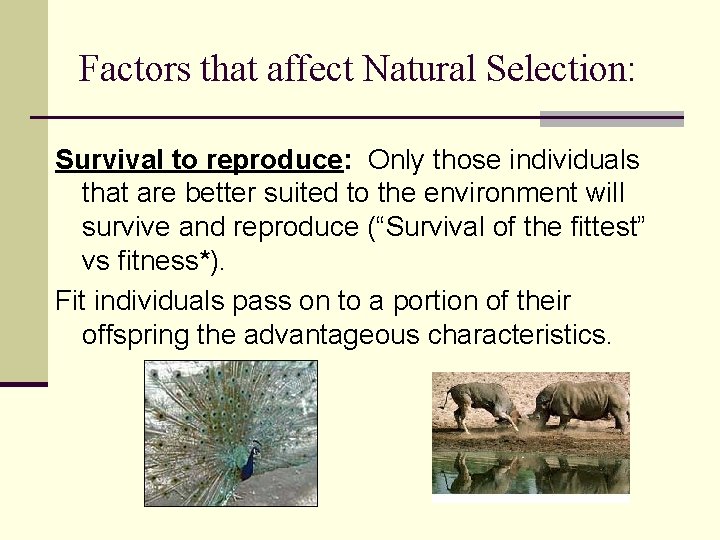 Factors that affect Natural Selection: Survival to reproduce: Only those individuals that are better