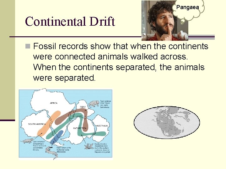 Pangaea Continental Drift n Fossil records show that when the continents were connected animals
