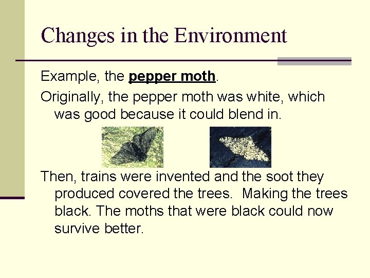 Changes in the Environment Example, the pepper moth. Originally, the pepper moth was white,