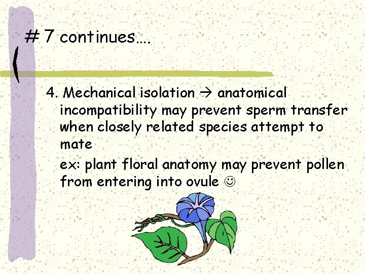 # 7 continues…. 4. Mechanical isolation anatomical incompatibility may prevent sperm transfer when closely