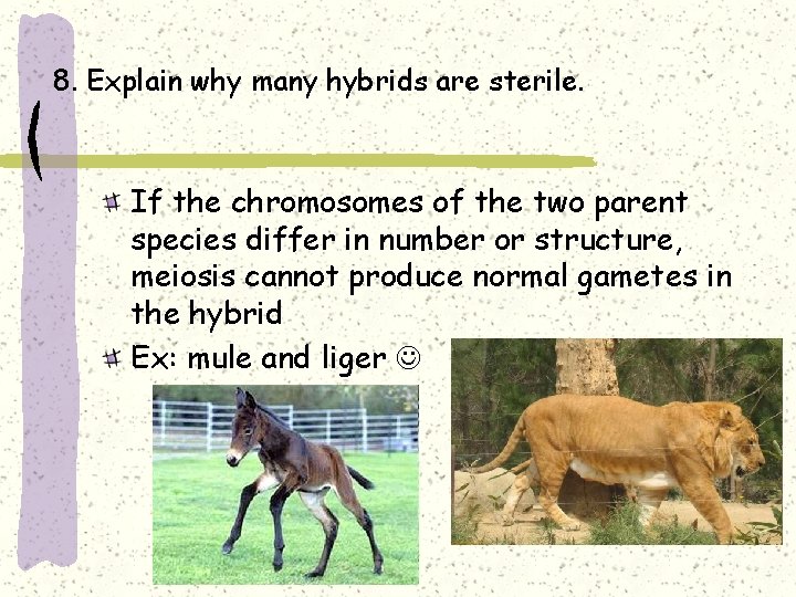 8. Explain why many hybrids are sterile. If the chromosomes of the two parent