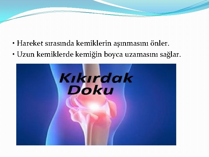  • Hareket sırasında kemiklerin aşınmasını önler. • Uzun kemiklerde kemiğin boyca uzamasını sağlar.
