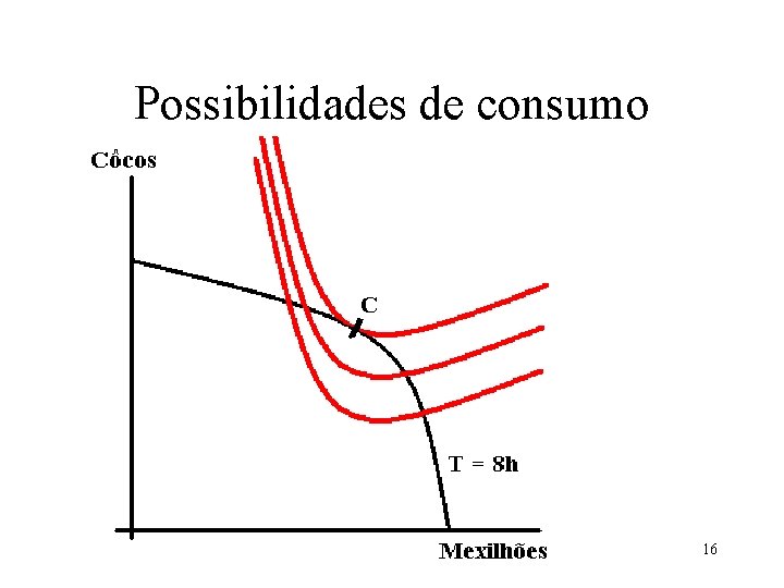 Possibilidades de consumo 16 