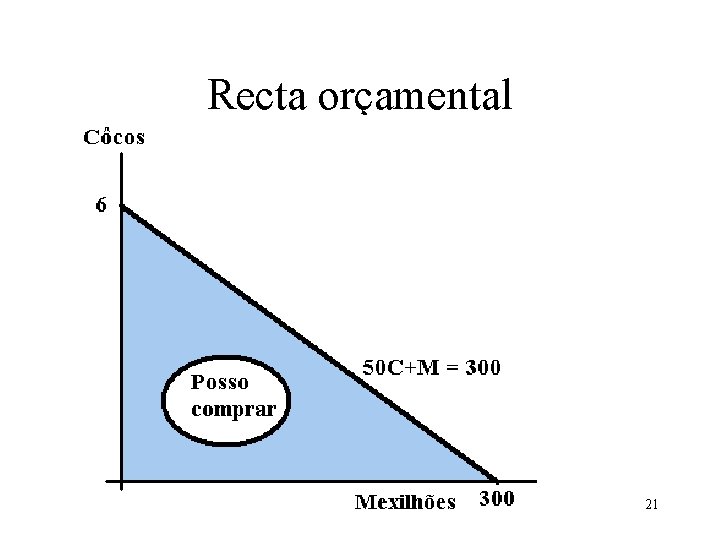 Recta orçamental 21 