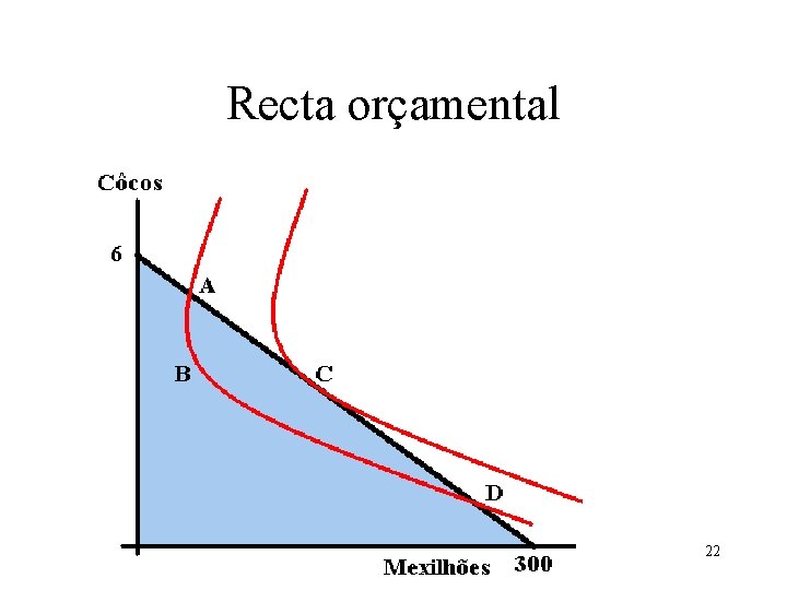 Recta orçamental 22 