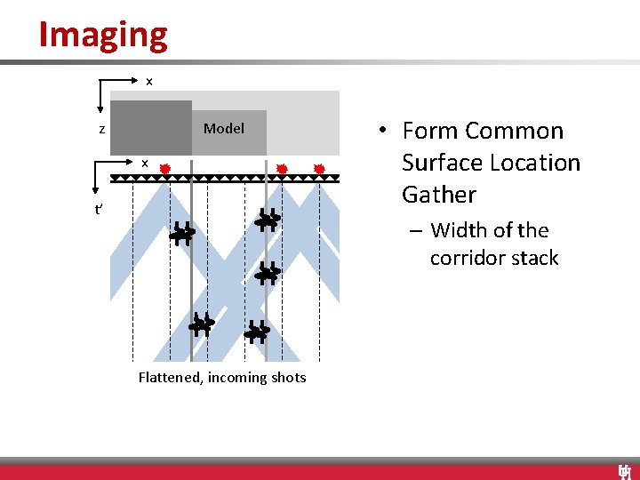 Imaging x z Model x t’ • Form Common Surface Location Gather – Width