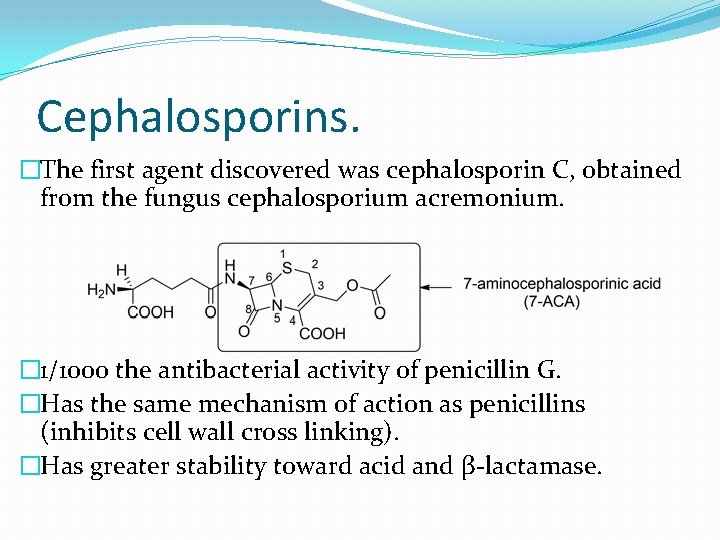 Cephalosporins. �The first agent discovered was cephalosporin C, obtained from the fungus cephalosporium acremonium.