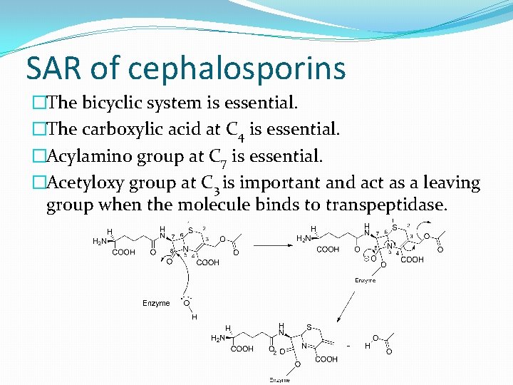 SAR of cephalosporins �The bicyclic system is essential. �The carboxylic acid at C 4