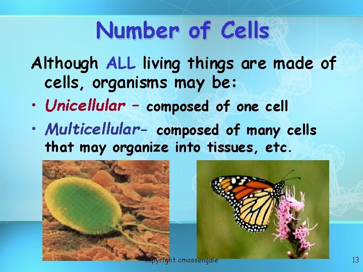 Number of Cells Although ALL living things are made of cells, organisms may be: