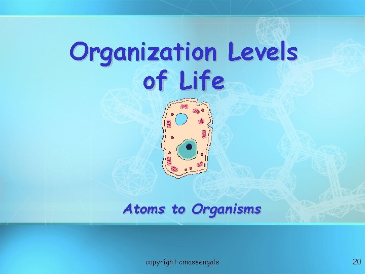 Organization Levels of Life Atoms to Organisms copyright cmassengale 20 