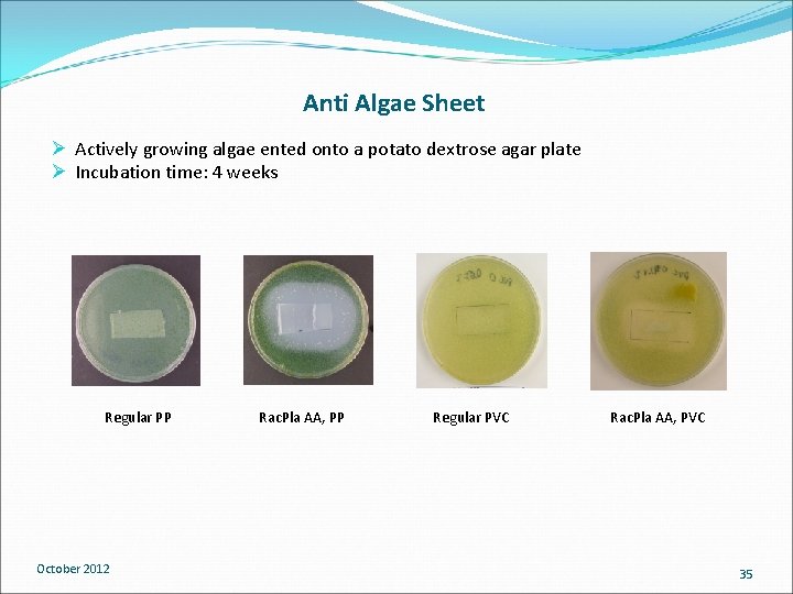 Anti Algae Sheet Ø Actively growing algae ented onto a potato dextrose agar plate