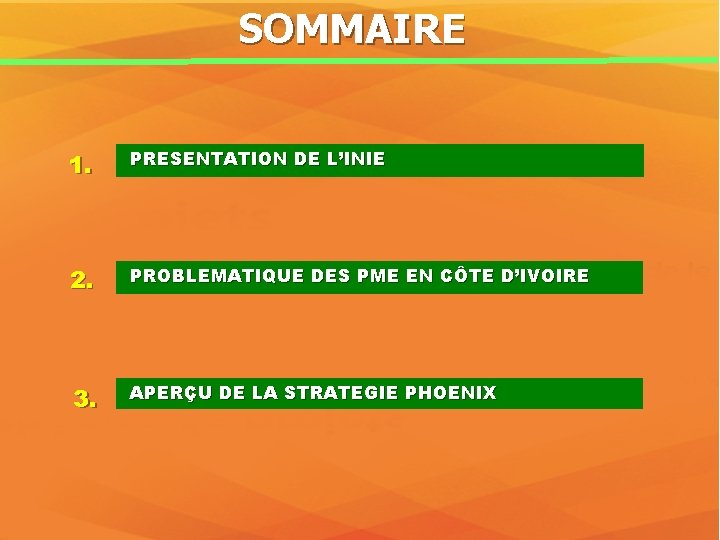 SOMMAIRE 1. PRESENTATION DE L’INIE 2. PROBLEMATIQUE DES PME EN CÔTE D’IVOIRE 3. APERÇU