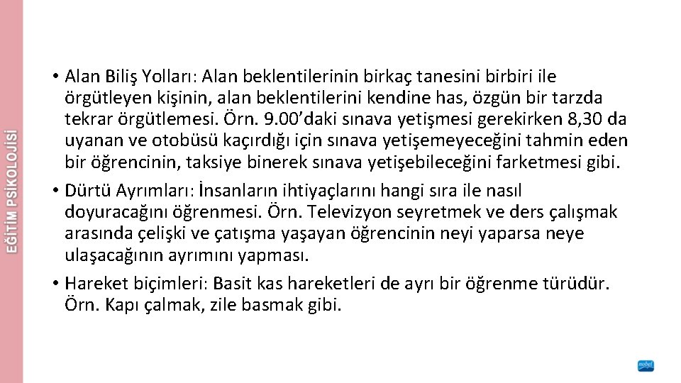  • Alan Biliş Yolları: Alan beklentilerinin birkaç tanesini birbiri ile örgütleyen kişinin, alan