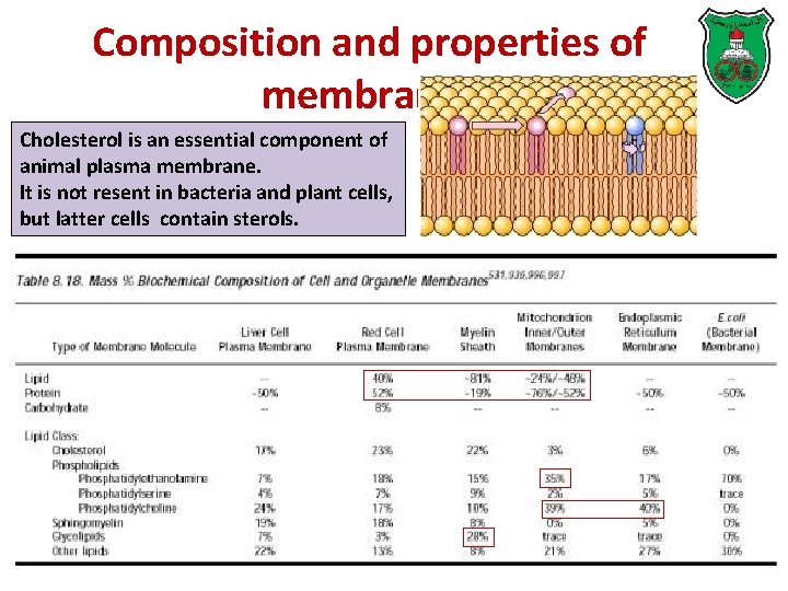 Composition and properties of membranes Cholesterol is an essential component of animal plasma membrane.