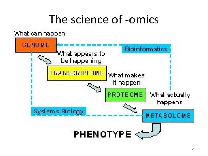 The science of -omics 20 