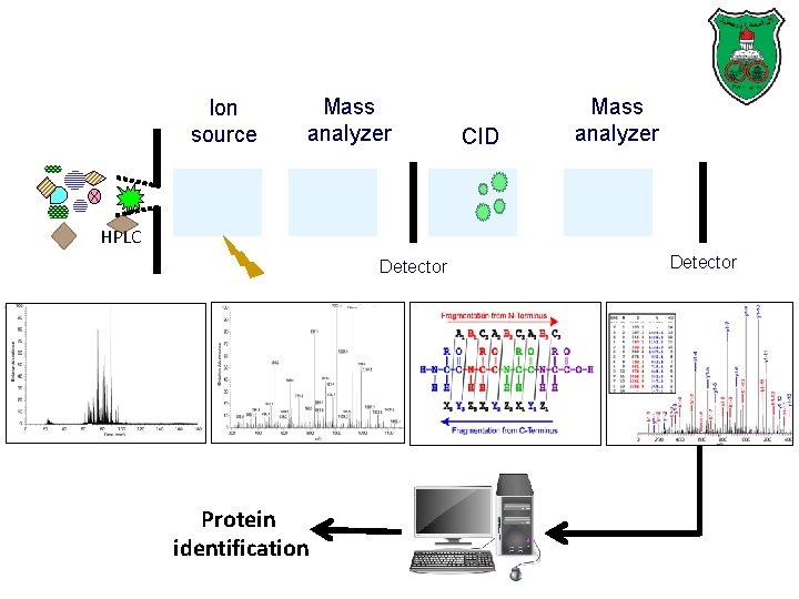 Basics of tandem mass spectrometry Ion source Mass analyzer CID Mass analyzer HPLC Detector