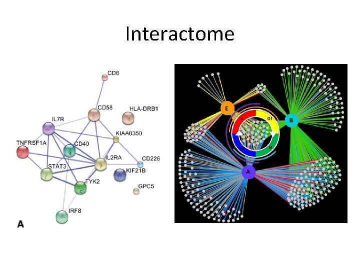Interactome 