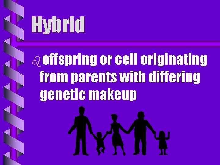 Hybrid boffspring or cell originating from parents with differing genetic makeup 