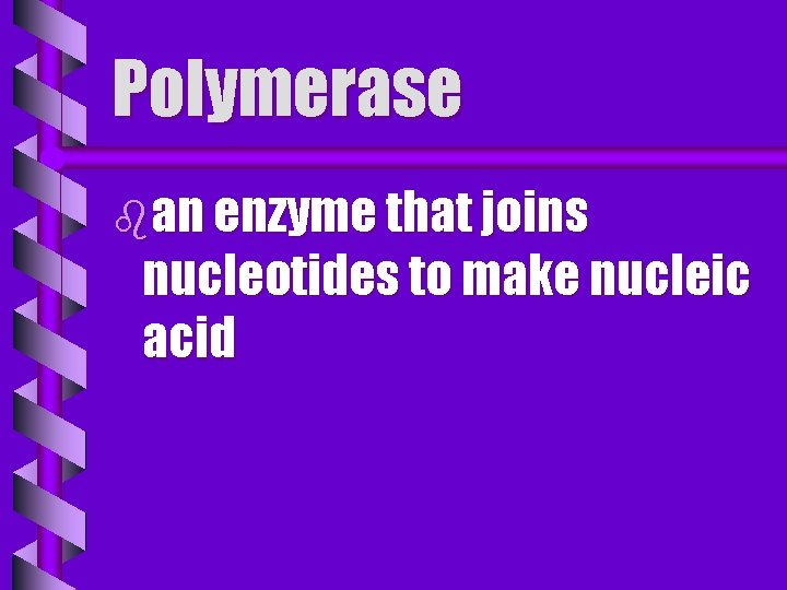 Polymerase ban enzyme that joins nucleotides to make nucleic acid 