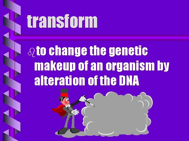 transform bto change the genetic makeup of an organism by alteration of the DNA