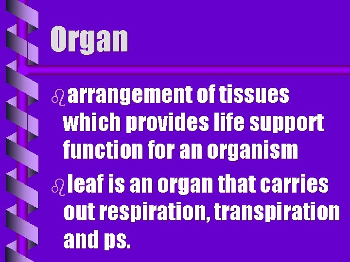 Organ barrangement of tissues which provides life support function for an organism bleaf is