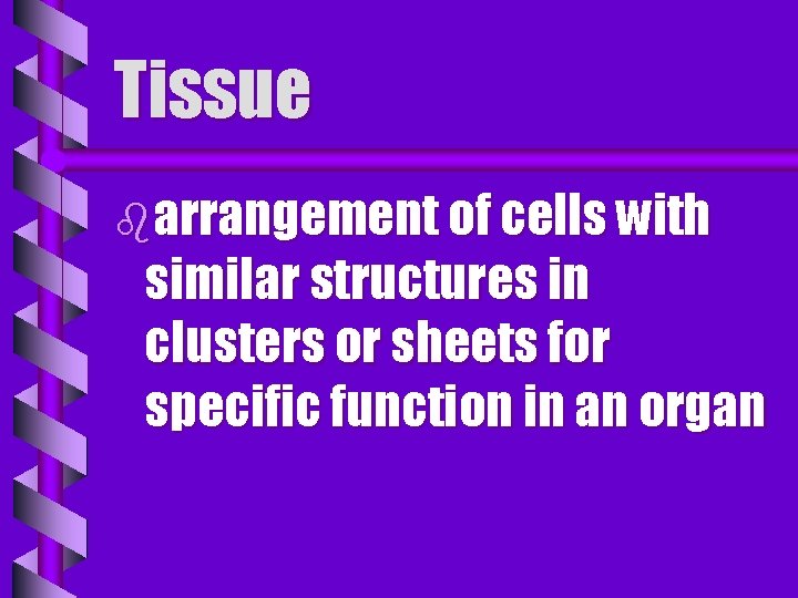 Tissue barrangement of cells with similar structures in clusters or sheets for specific function