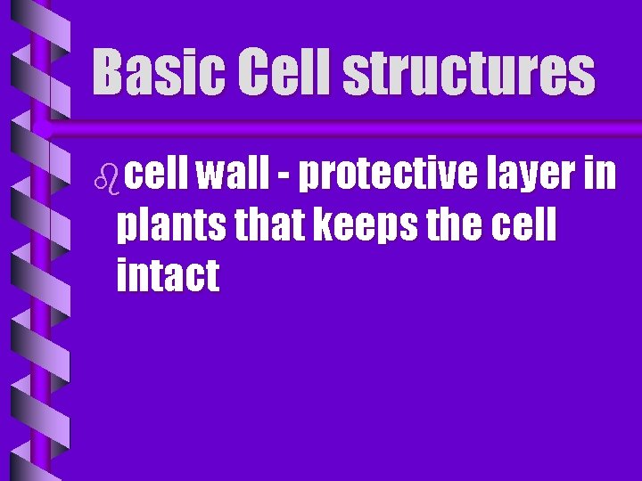 Basic Cell structures bcell wall - protective layer in plants that keeps the cell