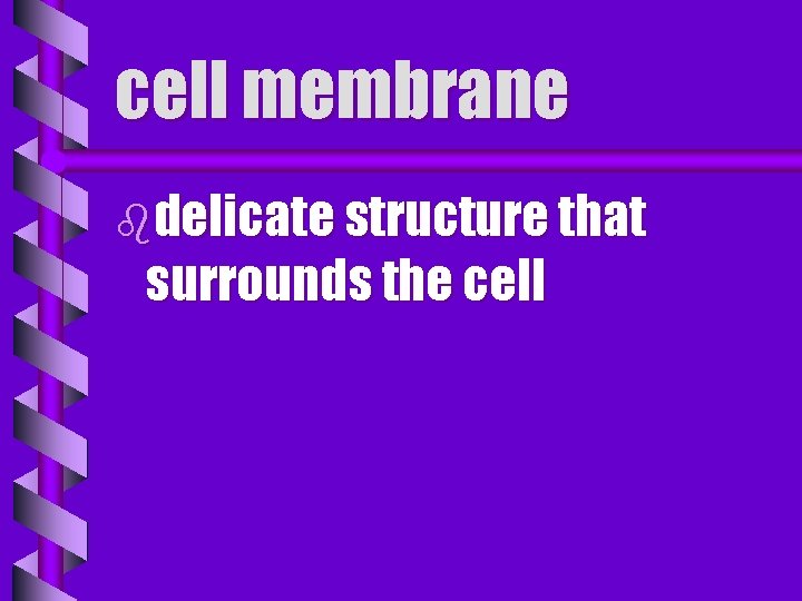 cell membrane bdelicate structure that surrounds the cell 