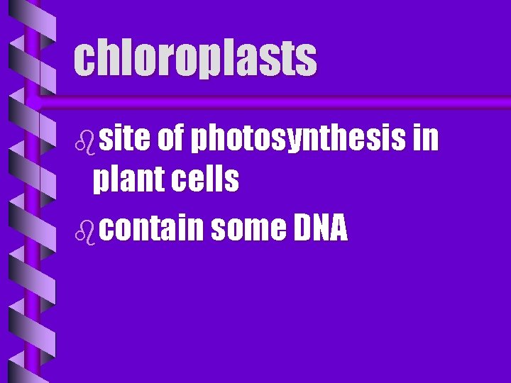 chloroplasts bsite of photosynthesis in plant cells bcontain some DNA 