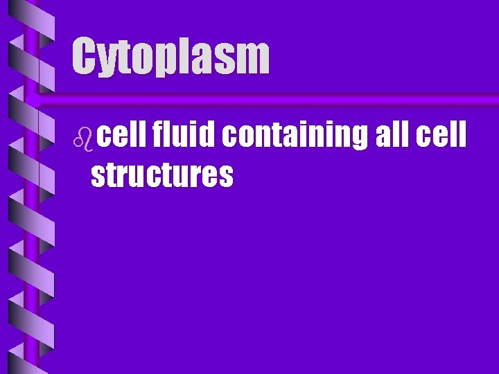 Cytoplasm bcell fluid containing all cell structures 