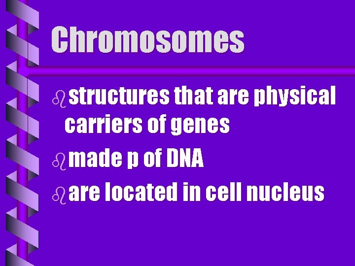 Chromosomes bstructures that are physical carriers of genes bmade p of DNA bare located
