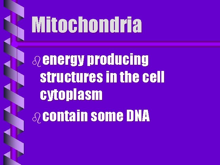 Mitochondria benergy producing structures in the cell cytoplasm bcontain some DNA 