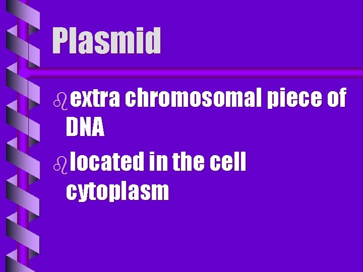 Plasmid bextra chromosomal piece of DNA blocated in the cell cytoplasm 