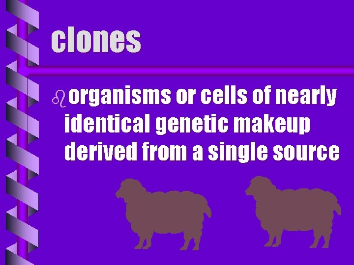 clones borganisms or cells of nearly identical genetic makeup derived from a single source
