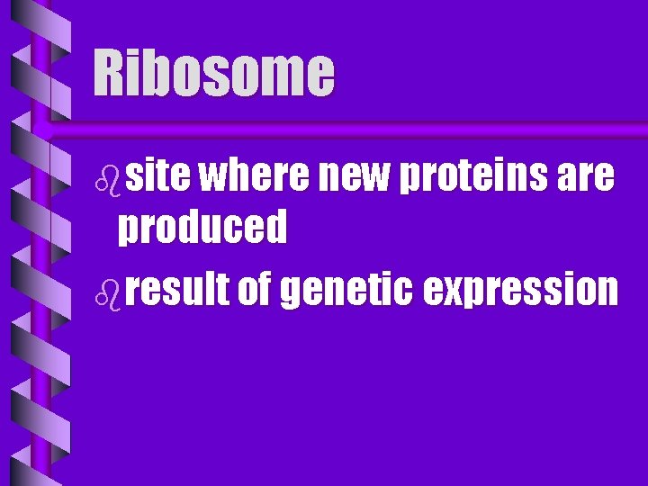 Ribosome bsite where new proteins are produced bresult of genetic expression 