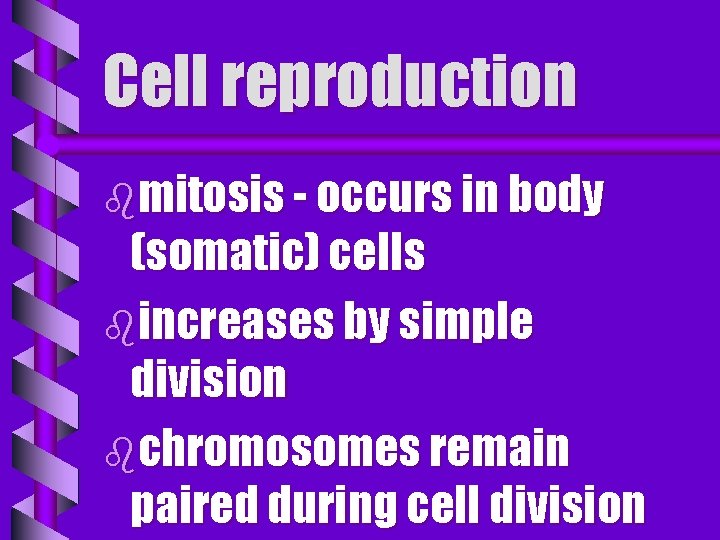 Cell reproduction bmitosis - occurs in body (somatic) cells bincreases by simple division bchromosomes