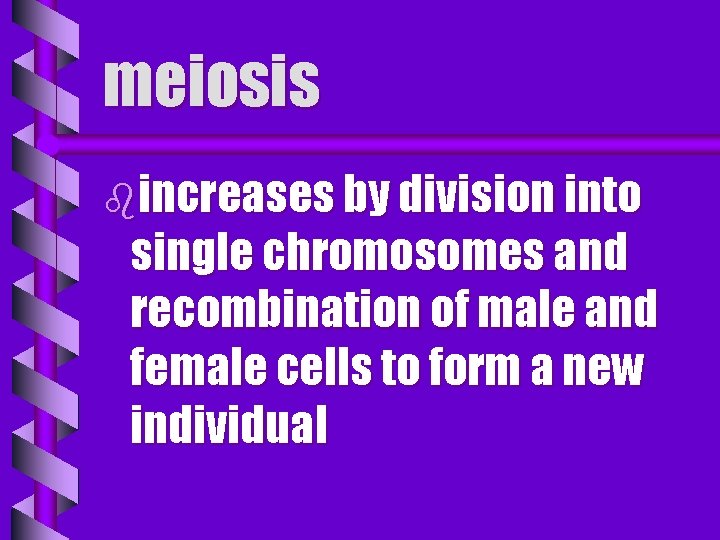 meiosis bincreases by division into single chromosomes and recombination of male and female cells