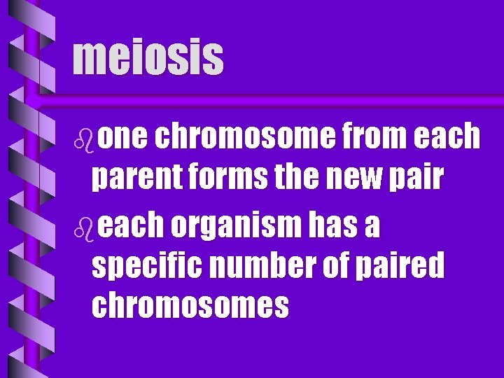 meiosis bone chromosome from each parent forms the new pair beach organism has a