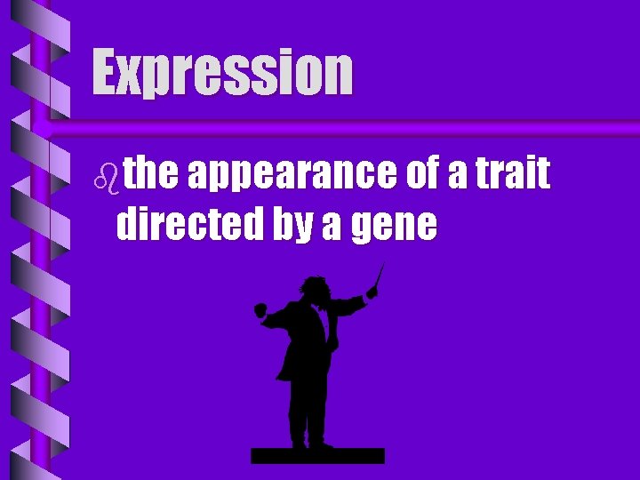 Expression bthe appearance of a trait directed by a gene 