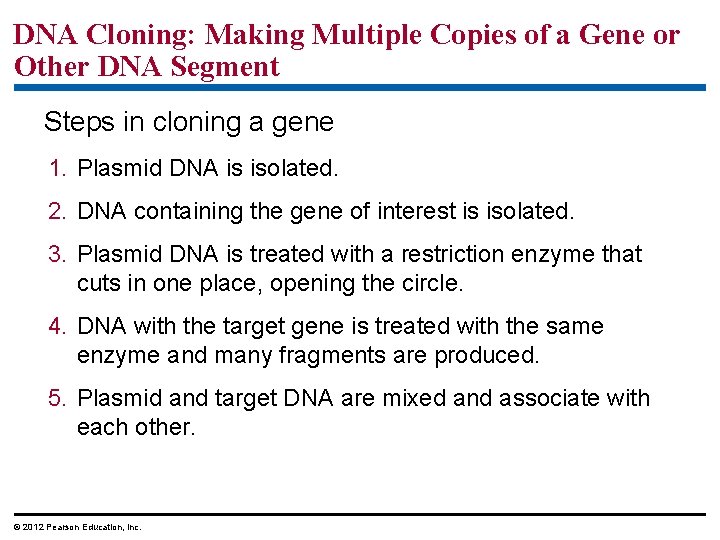 DNA Cloning: Making Multiple Copies of a Gene or Other DNA Segment Steps in