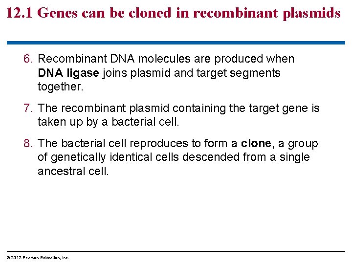 12. 1 Genes can be cloned in recombinant plasmids 6. Recombinant DNA molecules are