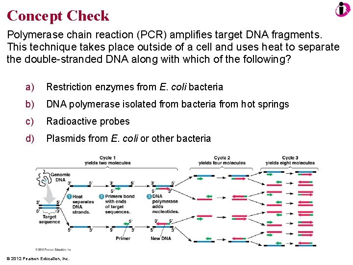 Concept Check Polymerase chain reaction (PCR) amplifies target DNA fragments. This technique takes place