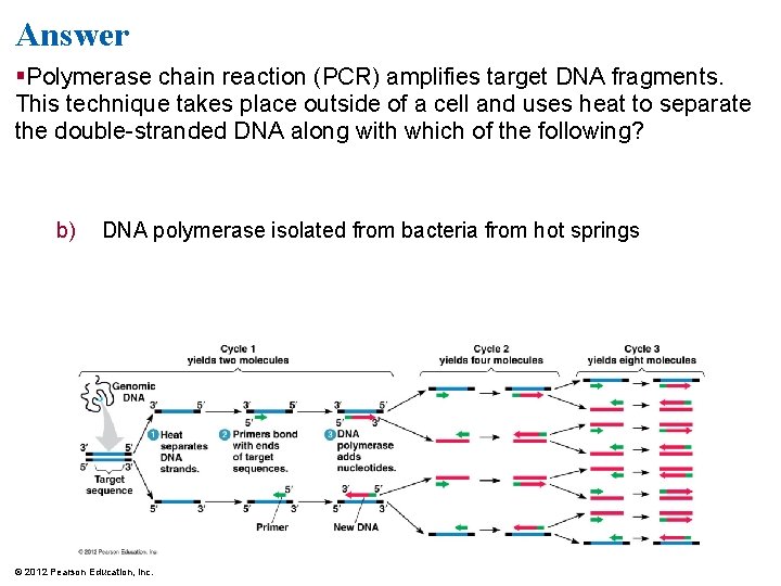 Answer §Polymerase chain reaction (PCR) amplifies target DNA fragments. This technique takes place outside