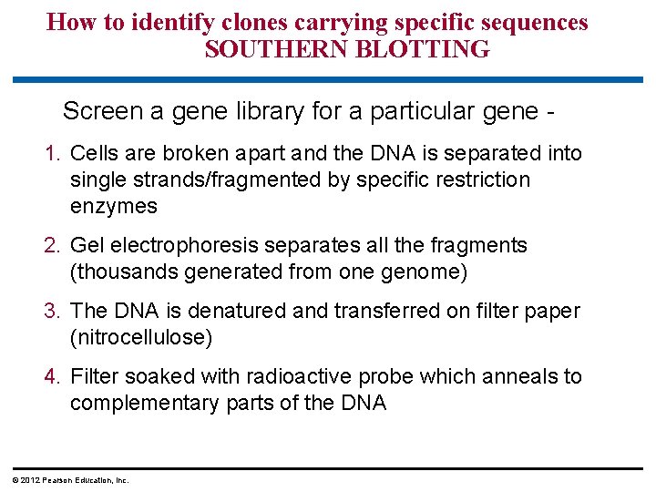 How to identify clones carrying specific sequences SOUTHERN BLOTTING Screen a gene library for