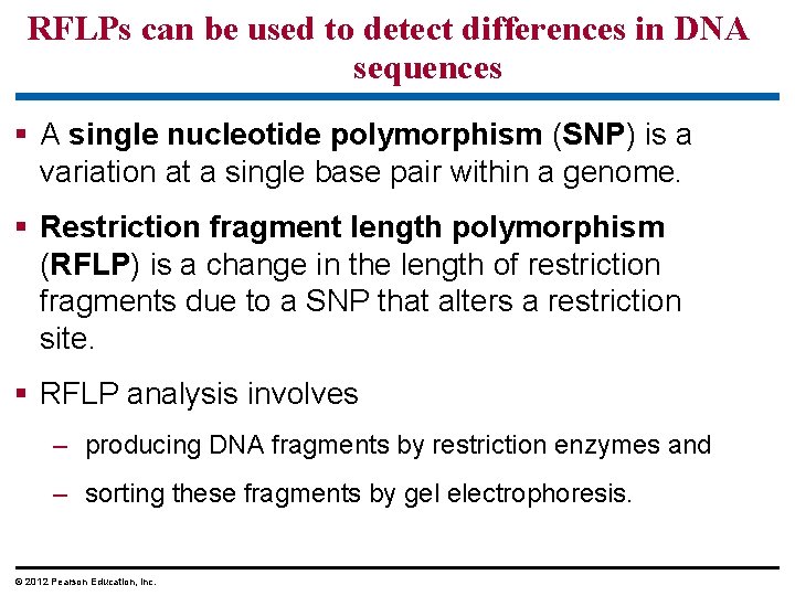RFLPs can be used to detect differences in DNA sequences § A single nucleotide