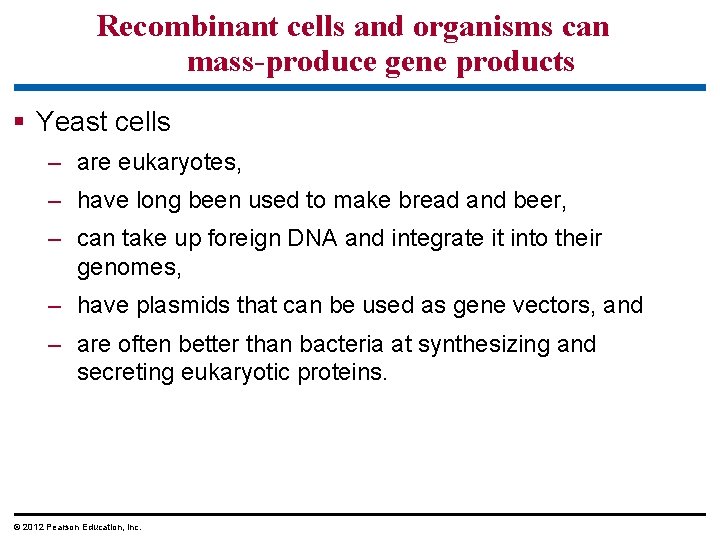 Recombinant cells and organisms can mass-produce gene products § Yeast cells – are eukaryotes,