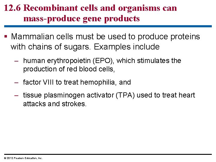 12. 6 Recombinant cells and organisms can mass-produce gene products § Mammalian cells must