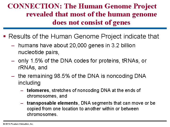 CONNECTION: The Human Genome Project revealed that most of the human genome does not